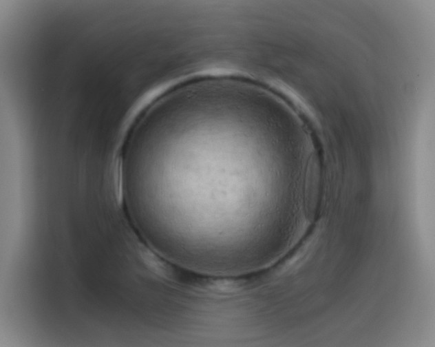 X0000114431175200910161329