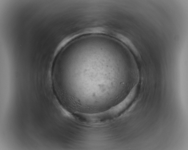 X0000114431176200910161329
