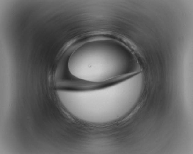 X0000114431177200910161329