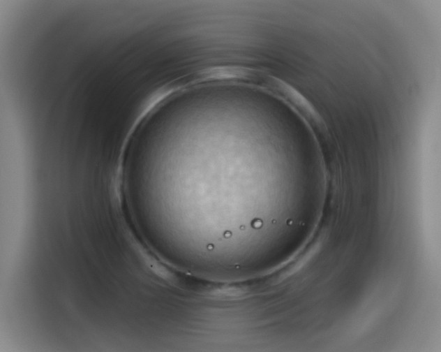 X0000114431178200910161329