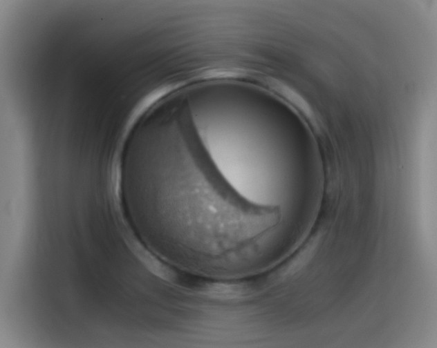 X0000114431179200910161329