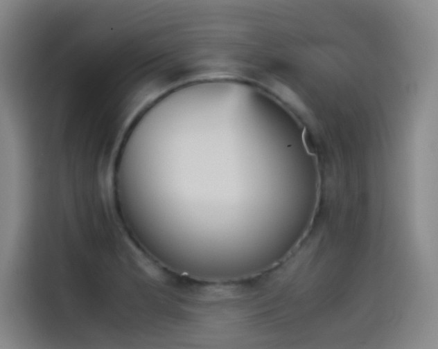 X0000114431181200910161329
