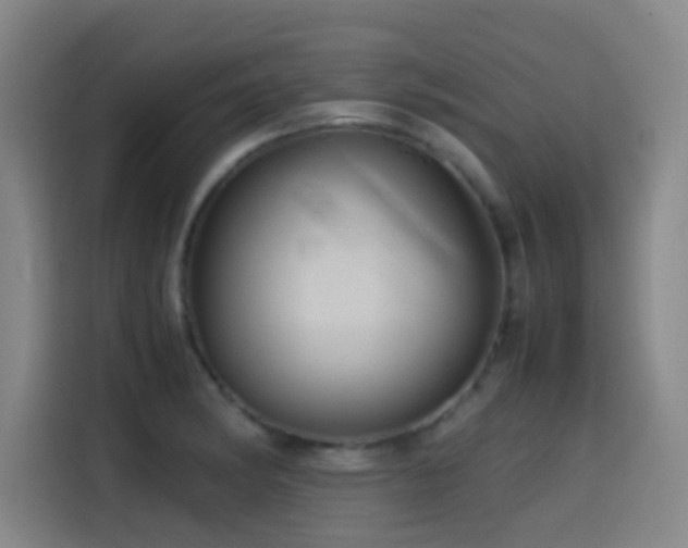 X0000114431182200910161329