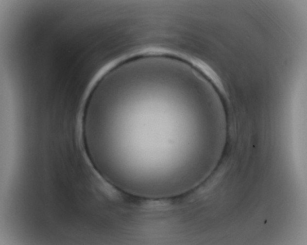 X0000114431183200910161329