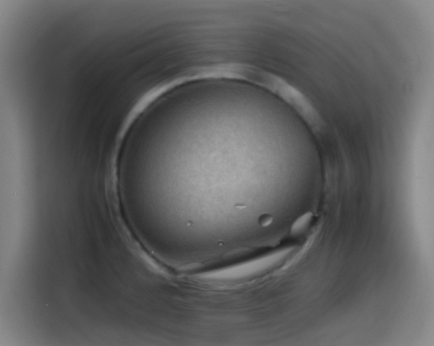 X0000114431184200910161329