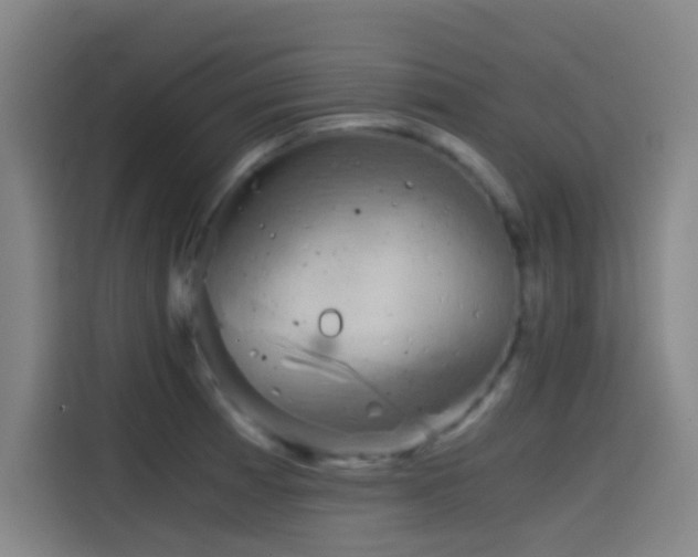 X0000114431185200910161329