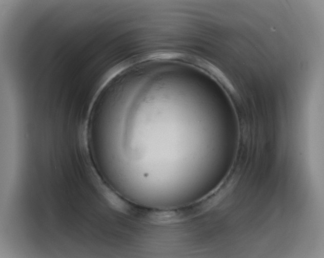 X0000114431186200910161329