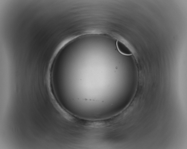 X0000114431187200910161329
