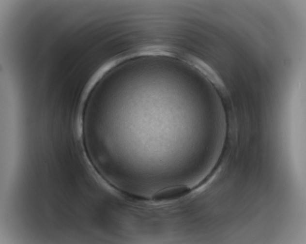 X0000114431188200910161329