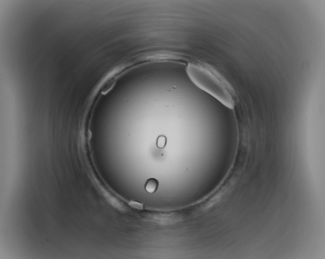 X0000114431189200910161329