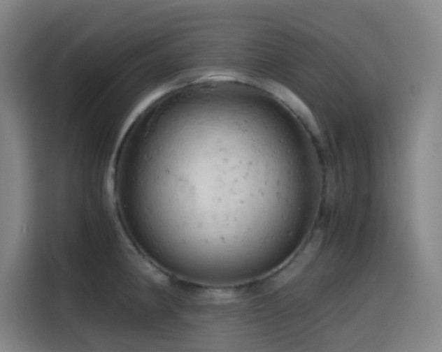 X0000114431190200910161329