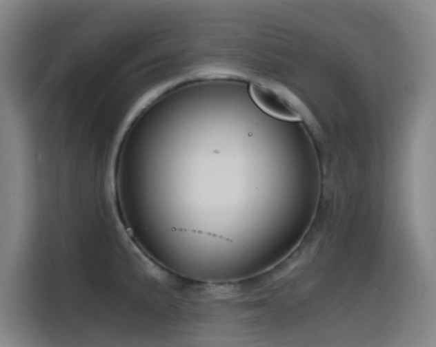 X0000114431191200910161329