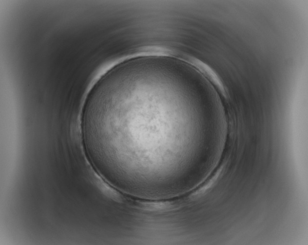 X0000114431192200910161329