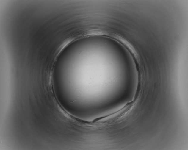 X0000114431193200910161329