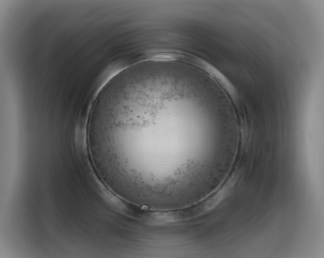 X0000114431194200910161329