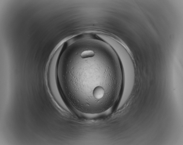 X0000114431195200910161329