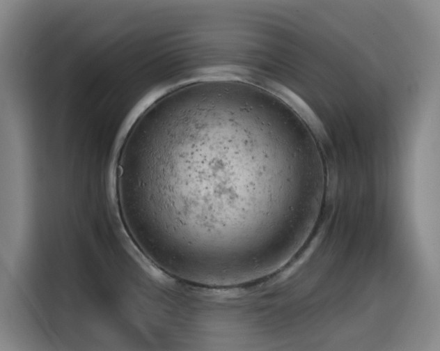 X0000114431196200910161329