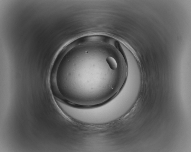X0000114431197200910161329