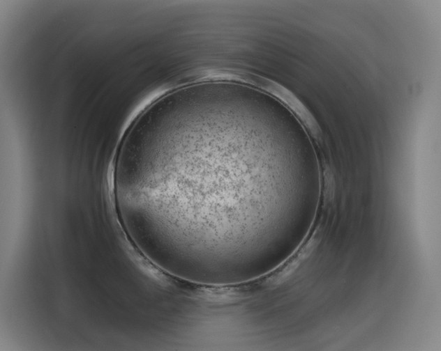 X0000114431198200910161329