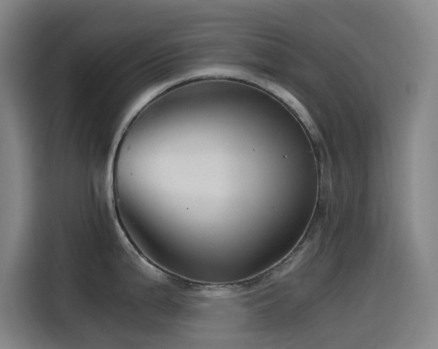 X0000114431199200910161329