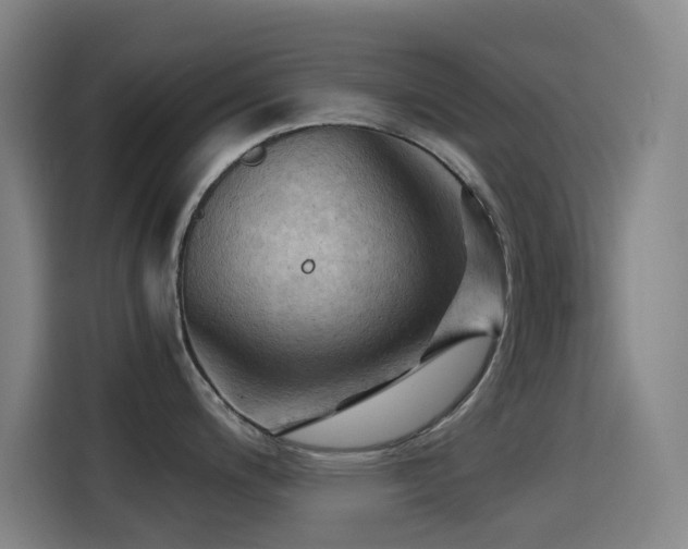 X0000114431200200910161329