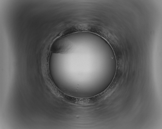X0000114431201200910161328
