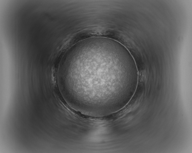 X0000114431202200910161328