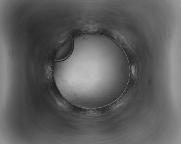 X0000114431203200910161328