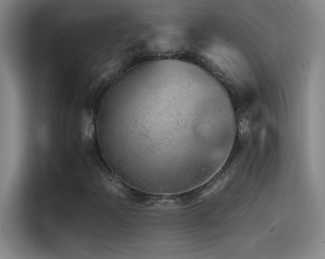 X0000114431204200910161328