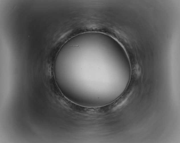 X0000114431205200910161328
