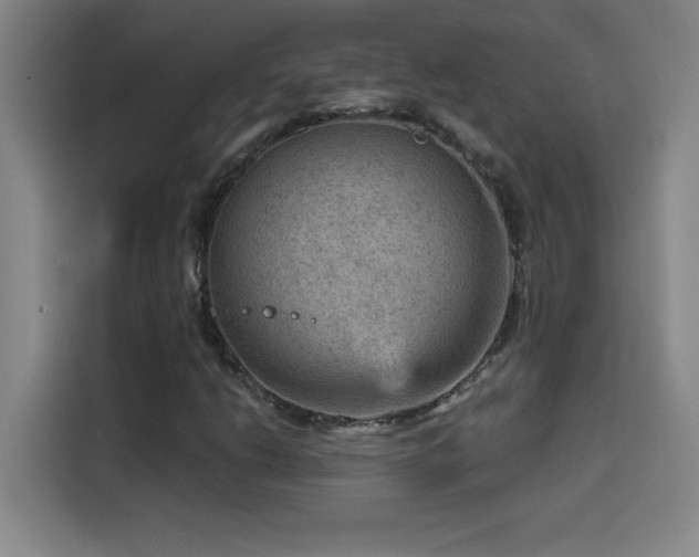 X0000114431206200910161328