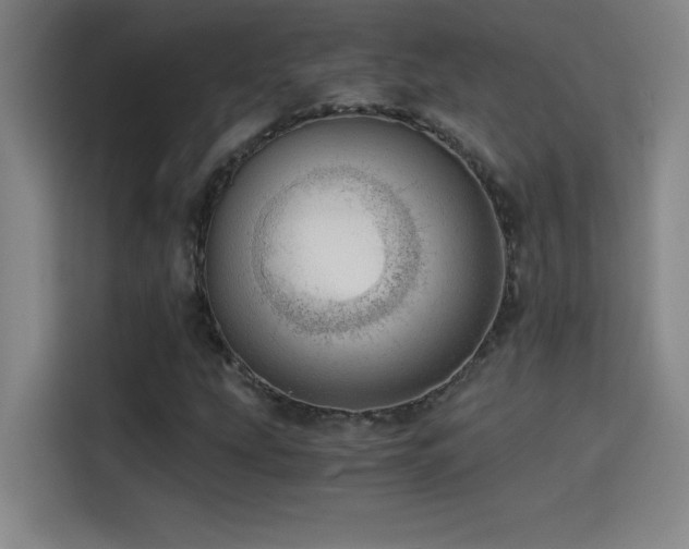 X0000114431207200910161328