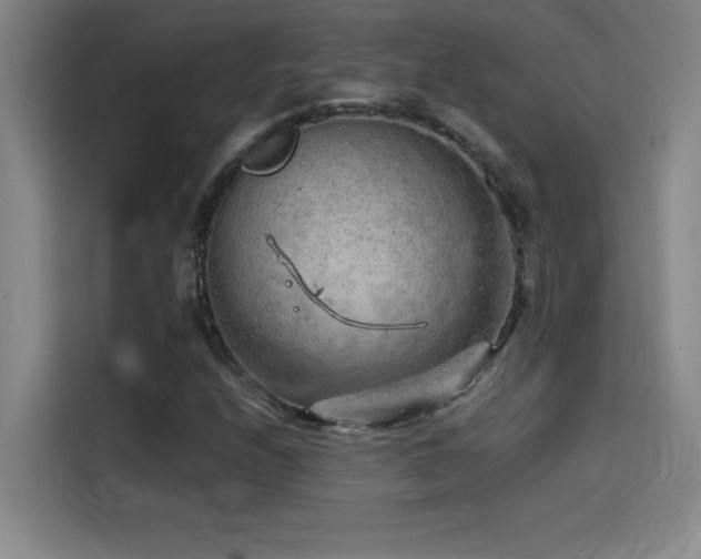 X0000114431208200910161328