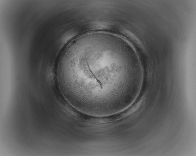 X0000114431210200910161328