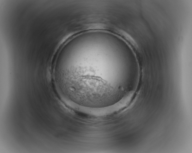 X0000114431212200910161328