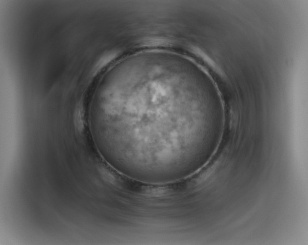 X0000114431213200910161328