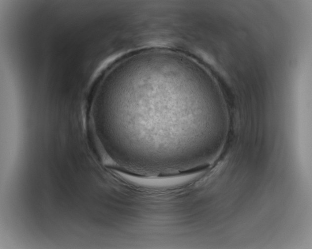 X0000114431214200910161328