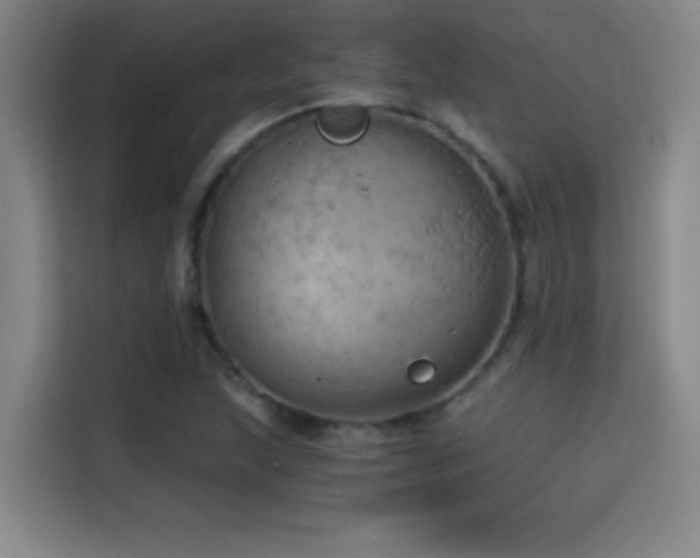 X0000114431215200910161328