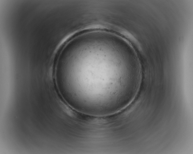 X0000114431216200910161328
