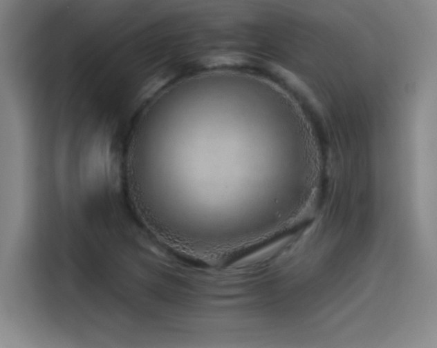 X0000114431217200910161328