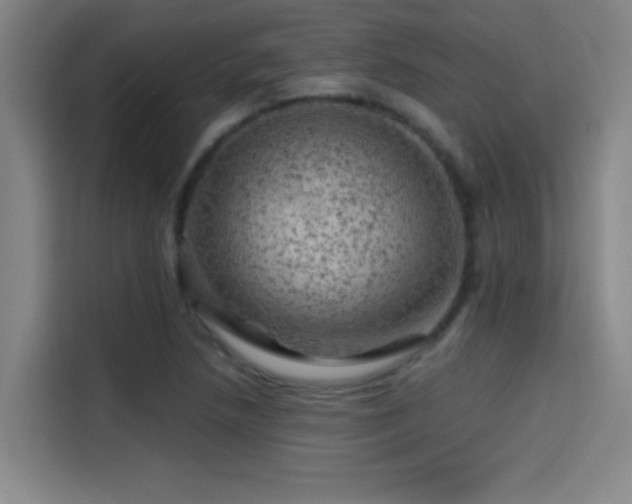 X0000114431218200910161328