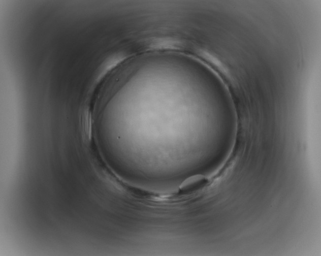 X0000114431219200910161328
