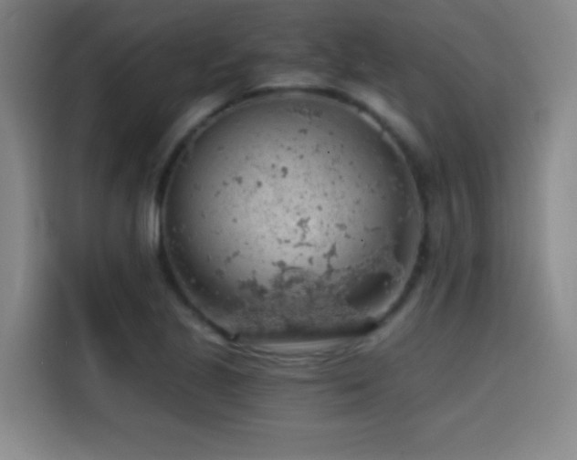 X0000114431221200910161328