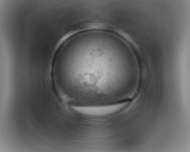 X0000114431222200910161328