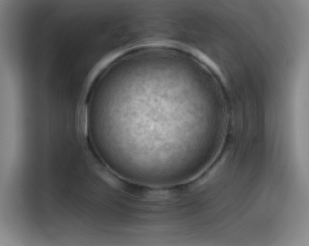 X0000114431223200910161328