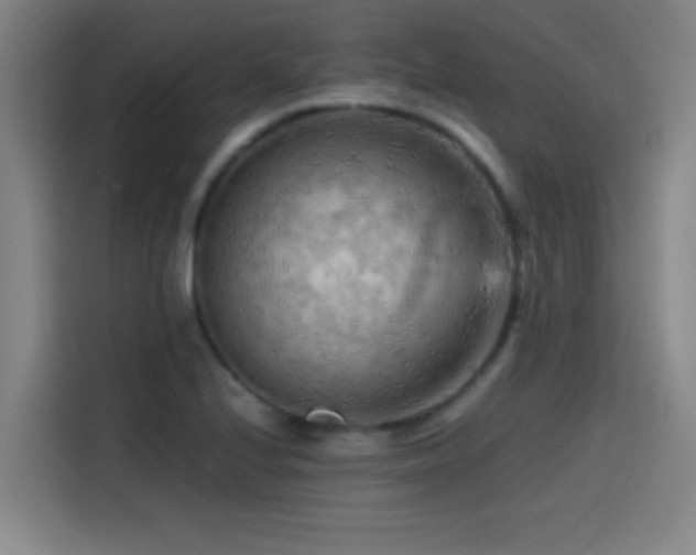 X0000114431224200910161328