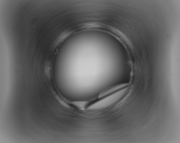 X0000114431225200910161328
