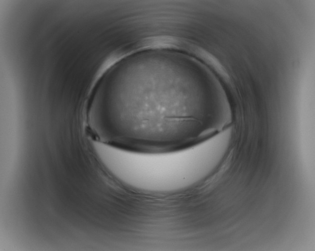 X0000114431226200910161328