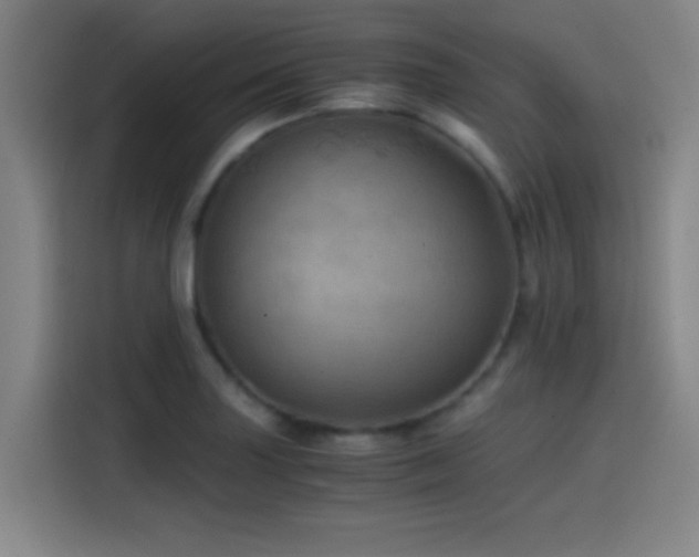 X0000114431227200910161328