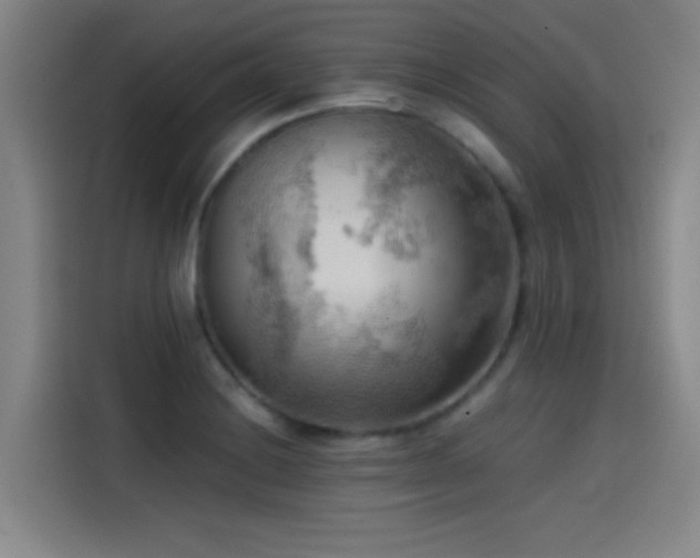X0000114431228200910161328
